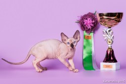 Клаудиа Скорпион