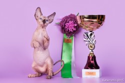 Клаудиа Скорпион