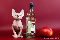 Выпускники нашего питомника